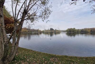 Apartament cu 2 camere la 12 minute de metrourile Dristor 1 si Grigorescu - 24