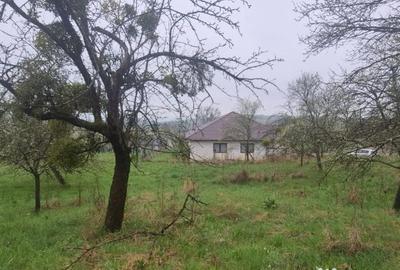 Teren în Groși - 1