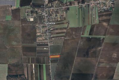 Teren de 10000 mp, în Butimanu - 2