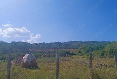 Teren de 3500 mp, în Central - 3