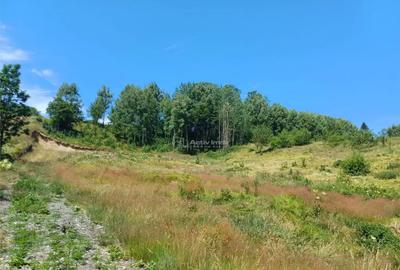 Teren de 4500 mp, în Brebu - 12