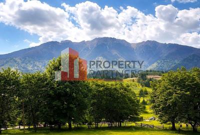 Teren Construcții intravilan de 2799 mp, în Bran - 1