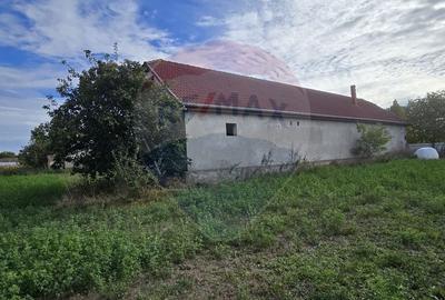 Teren si casa cu teren generos in Socodor - 18