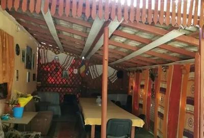 Teren in Contesti, Dambovita - 16