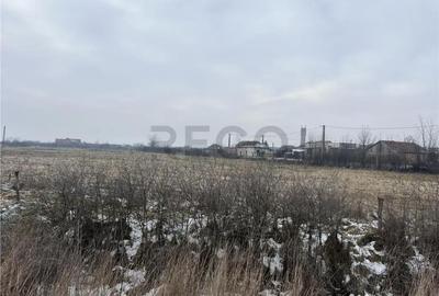 Teren de 26000 mp, în Inand - 3