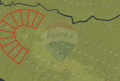 COMISION 0% Teren Grid/Inima Naturii/ Oportunitate de inv... - 2