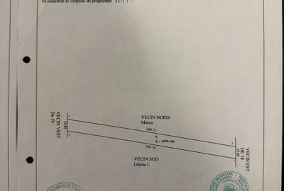 Spațiu comercial, în Central