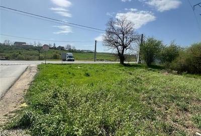 Teren Construcții intravilan de 2000 mp, în Nojorid