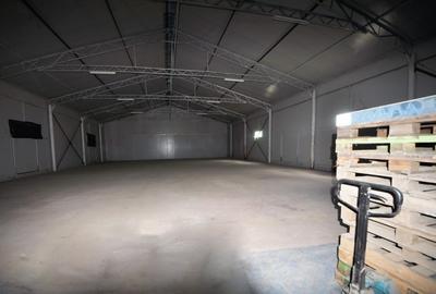 Zona Industriala, eurohala 320 mp., teren 600 mp. - 2