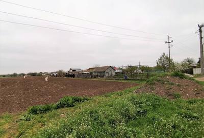 Teren intravilan Caracal / Str. Salcamului, 3.585 mp, 9 EUR / mp, comision 0% - 7