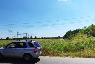 Teren intravilan de 8285 mp, în Nicolae Grigorescu - 6