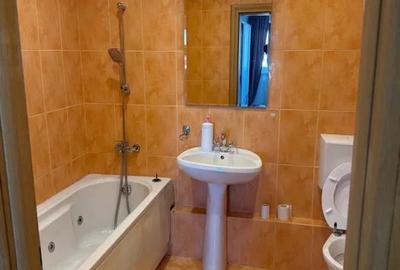 Apartament cu 2 camere decomandat, mobilat în Banu Manta - 5