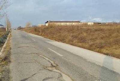 Teren de 10000 mp, în Pielești