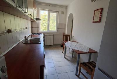 Apartament cu 3 camere decomandat în Copou - 11