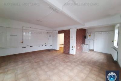 Vila cu 11 camere de vanzare, zona Gheorghe Doja, 237.7 mp #16106 - 10