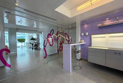 Penthouse cu 4 camere decomandat, mobilat în Floreasca - 23