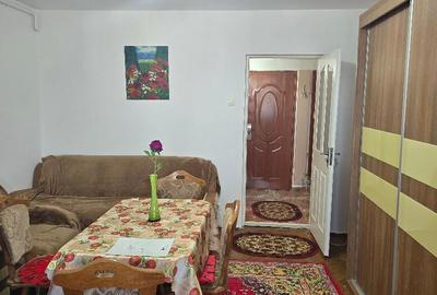 Vand garsoniera in Deva, zona I. Maniu, suprafata utila 31 mp, mobilat - 11