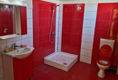 Casă cu 10 camere cu Teren 95000 Mp în Central - 6