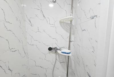 Camera de camin cu baie proprie in spate la Jumbo - 8