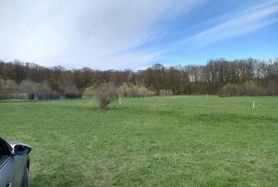 Vand teren Dragomirna 3000 mp langa padure - 1