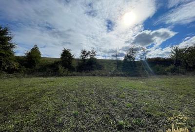 Teren intravilan cu panorama superba situat in Sumugiu - Bihor - 4