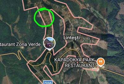 Spațiu comercial, în Lintești - 5