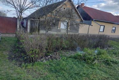 Casă cu 4 camere în Peregu Mic - 1