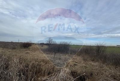 Teren agricol intravilan de 13800 mp, în 6 Vânători - 2