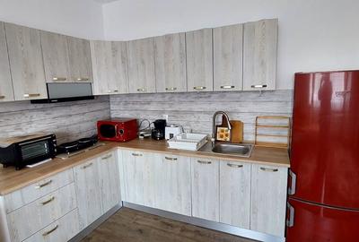 Casa 2 camere si curte de  500mp,spre inchiriere in Valea Aurie - 6