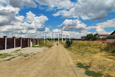 Teren Construcții intravilan de 394 mp, în Dobroești - 3