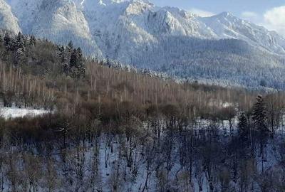 Spațiu comercial, în Plaiul Foii - 3