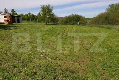 Teren Intravilan, 2.188 mp, zona Subcetate - 2