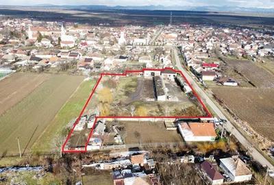 Teren in suprafata de 7774 intravilan | Constructi in suprafata de 1029 mp - 4