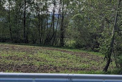 Teren în Copăcel - 4