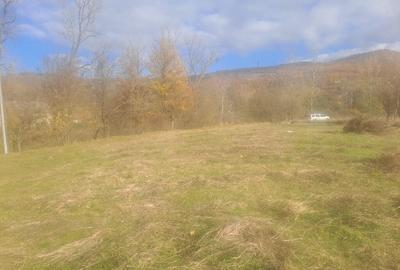 Teren langa apa 2230mp MEHADIA - 4