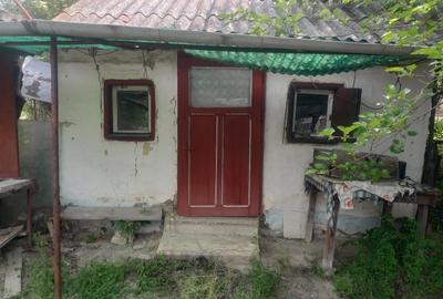 Casă cu 3 camere în Dăbâca - 5