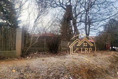 Oportunitate Investitie DN5: 1 ha Intravilan+Casa–Mix Rezidential/Comercial - 9