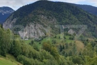 Teren de 13570 mp, în Central