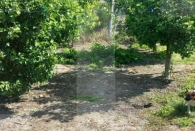 Blitz va ofera spre vanzare casa in Covasant - 15