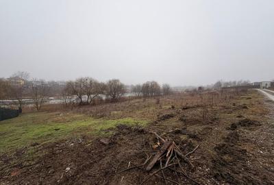 Teren Construcții intravilan de 1000 mp, în Moara Vlăsiei - 9