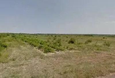 Teren extravilan cota parte 1/3 Cernatesti , ID: R2586146 - 5