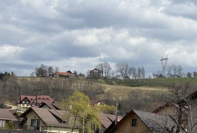 Spațiu comercial, în Sohodol