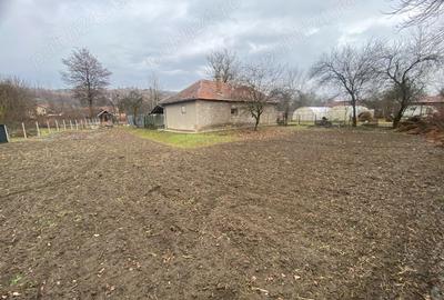 Casă cu 2 camere în Pestișu Mic - 7