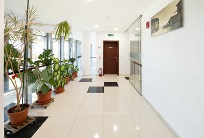 Spatiu birouri si logistica – in cladirea Volvo&Renault Trucks Timis - 12