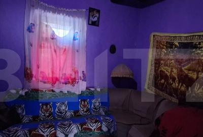 Casa batraneasca cu anexe , teren de 4200mp, zona Madaras - 3