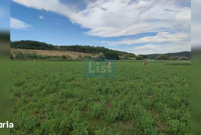 Teren de 22400 mp, în Iclod - 2
