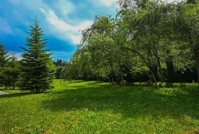 FILM!Resedinta cu farmec montan, domeniu de 1.700 mp,cadru select,Timisul de Sus - 21