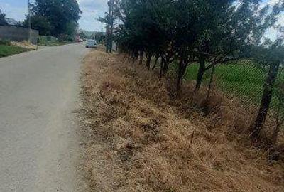 Teren de 2500 mp, în Ștefănești - 2