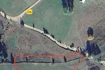 Spațiu comercial, în Arieșeni - 4