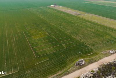 Spațiu comercial, în Giroc